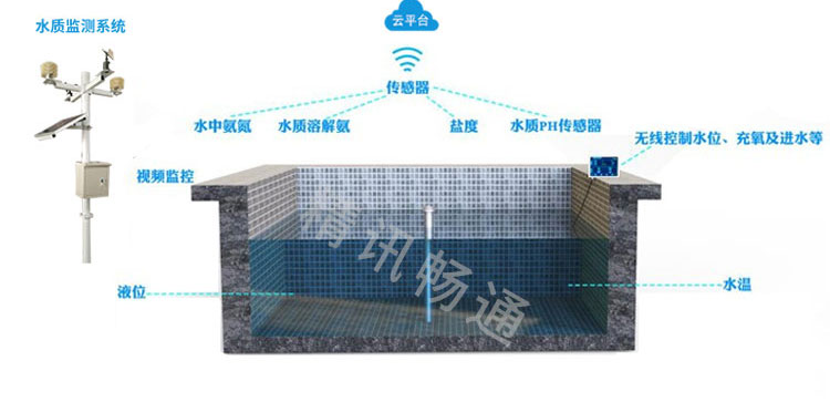 智慧水产养殖解决方案