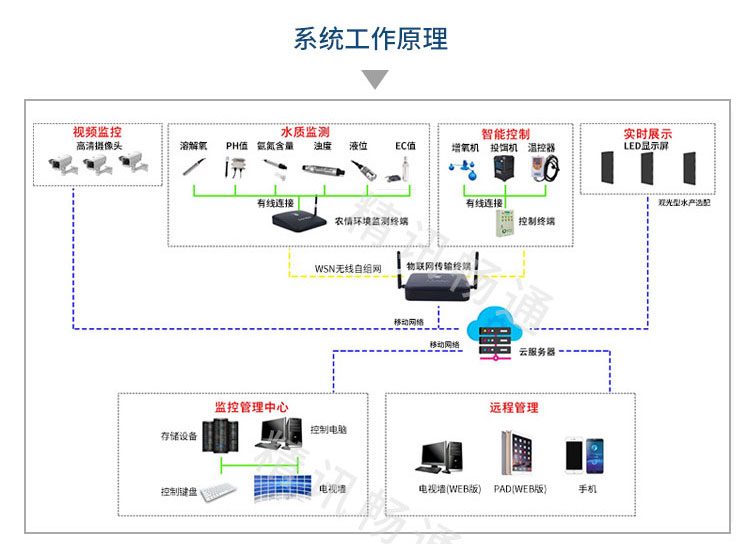 智慧水产养殖解决方案