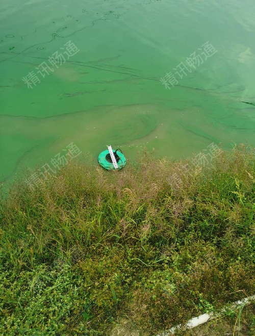 水质监测